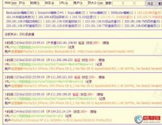 安康網站推廣：如何分析網站日志?蜘蛛日志分析方法